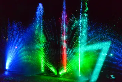 DSC_7042 (Large).JPG